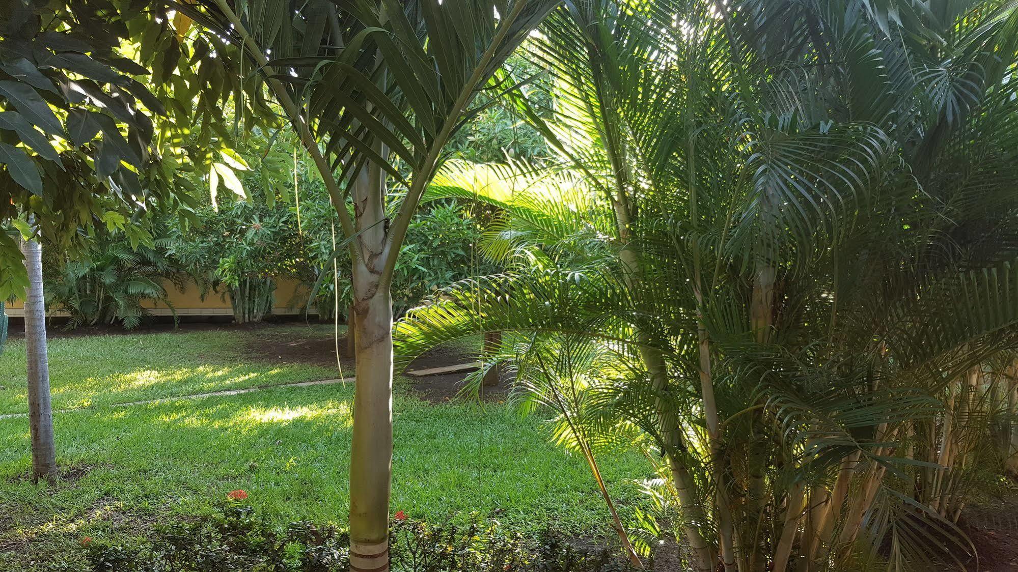 Hotel La Arboleda Managua Exterior photo